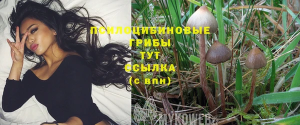 синтетический гашиш Горнозаводск