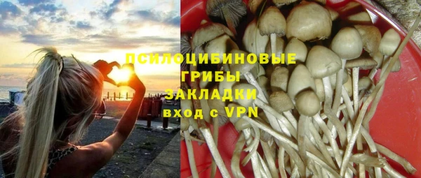 соль ск Вязники