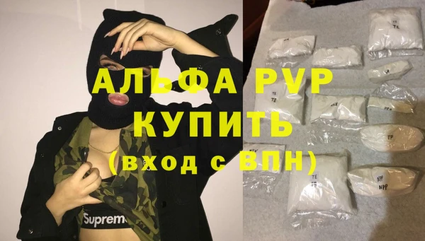 ГАЛЛЮЦИНОГЕННЫЕ ГРИБЫ Горно-Алтайск