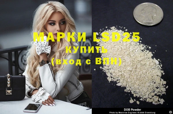 стаф Горняк